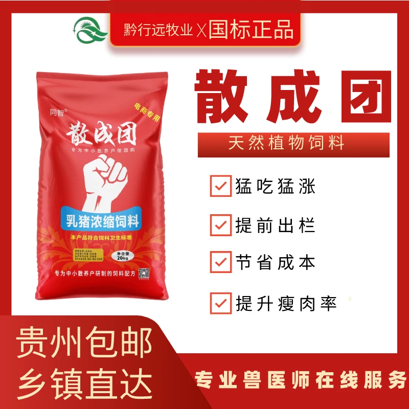 散成团乳猪浓缩料#厂家直发#猪饲料#吃得多#料肉比低#41.5%正蛋白