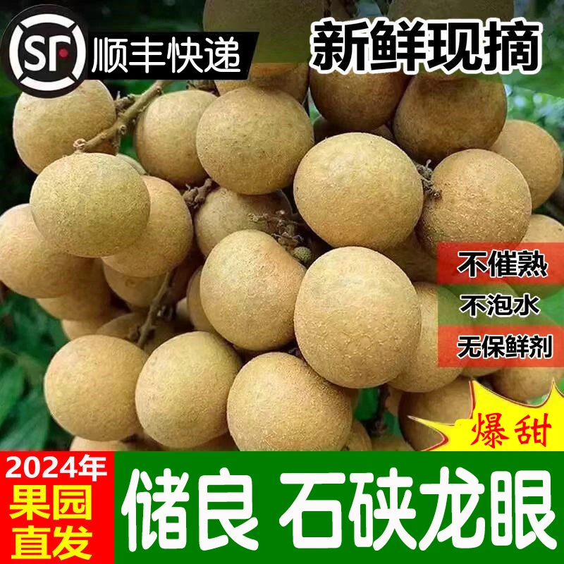 【顺丰现摘】新鲜储良石硖龙眼 超甜多汁当季水果桂圆