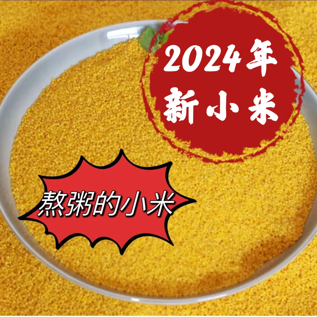 【陕北晓儿】陕北小米 2024新小米 油小米 农家米 免淘洗 包邮