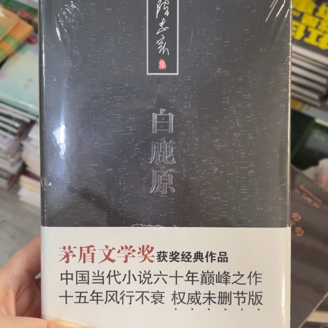 白鹿原精装一个