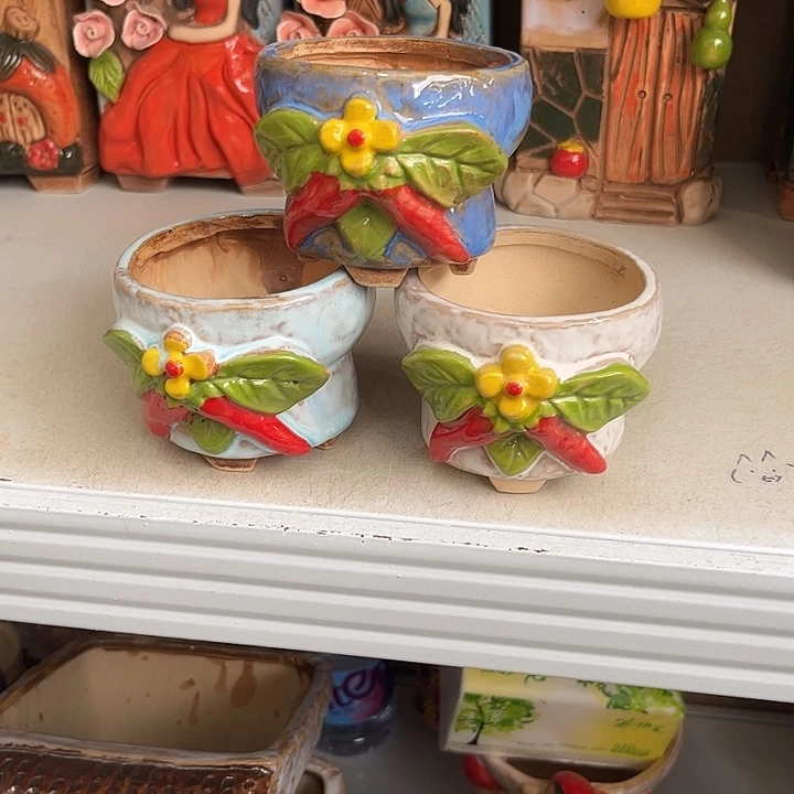 粗陶材质多肉花盆