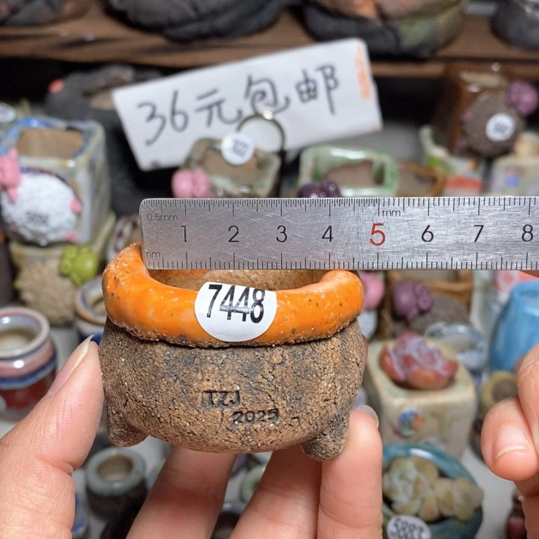 拍3送一个小礼物