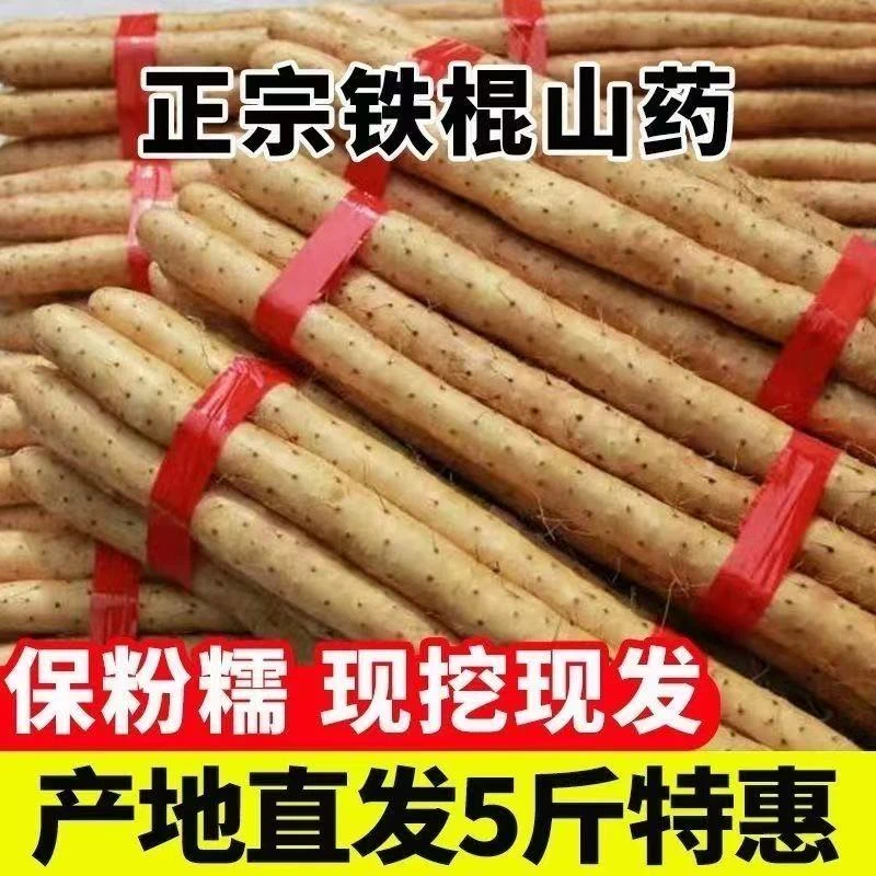 【整箱5斤】铁棍山药正宗垆土粉糯小白嘴淮山药营养蔬菜30-50cm