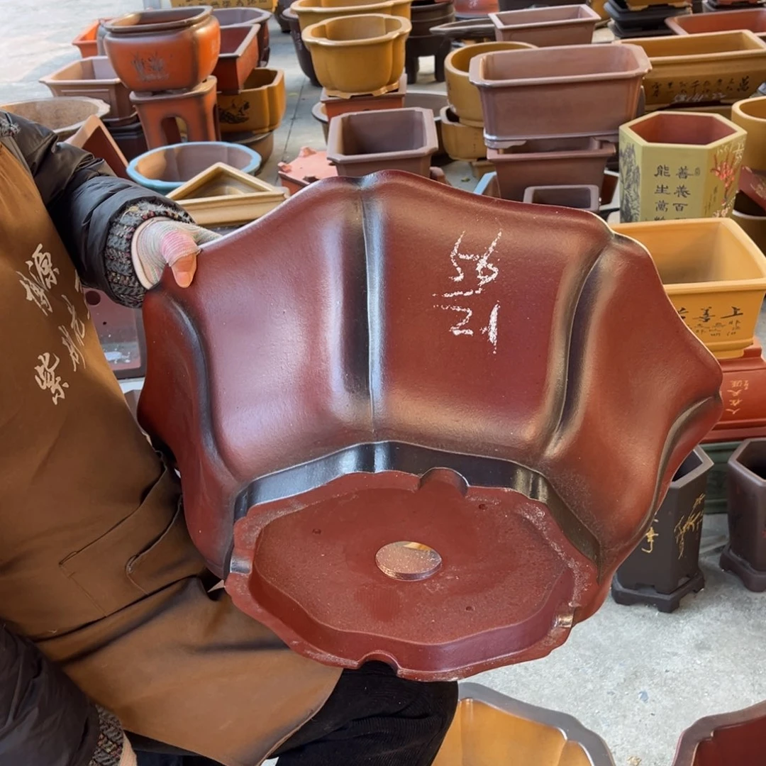 花盆紫砂盆景艺术