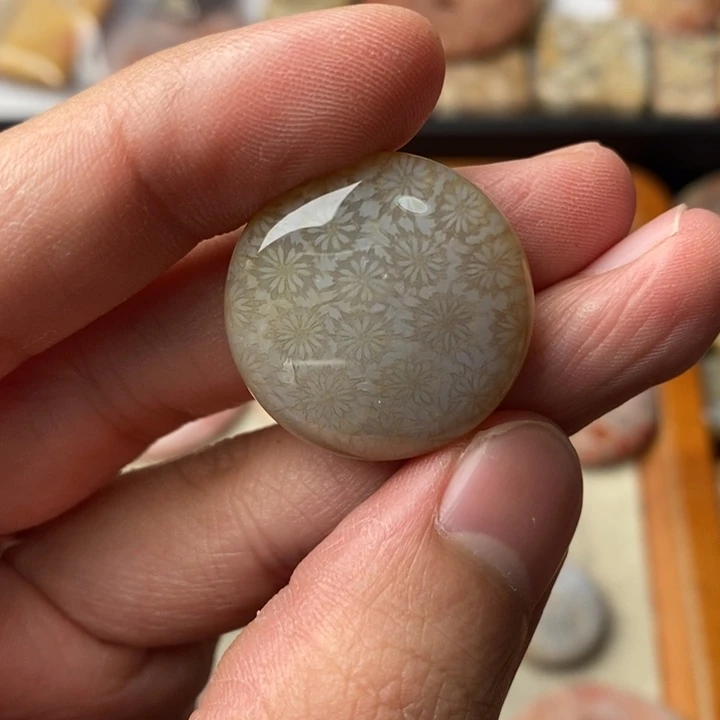 硅化玉颈饰未镶嵌就*样