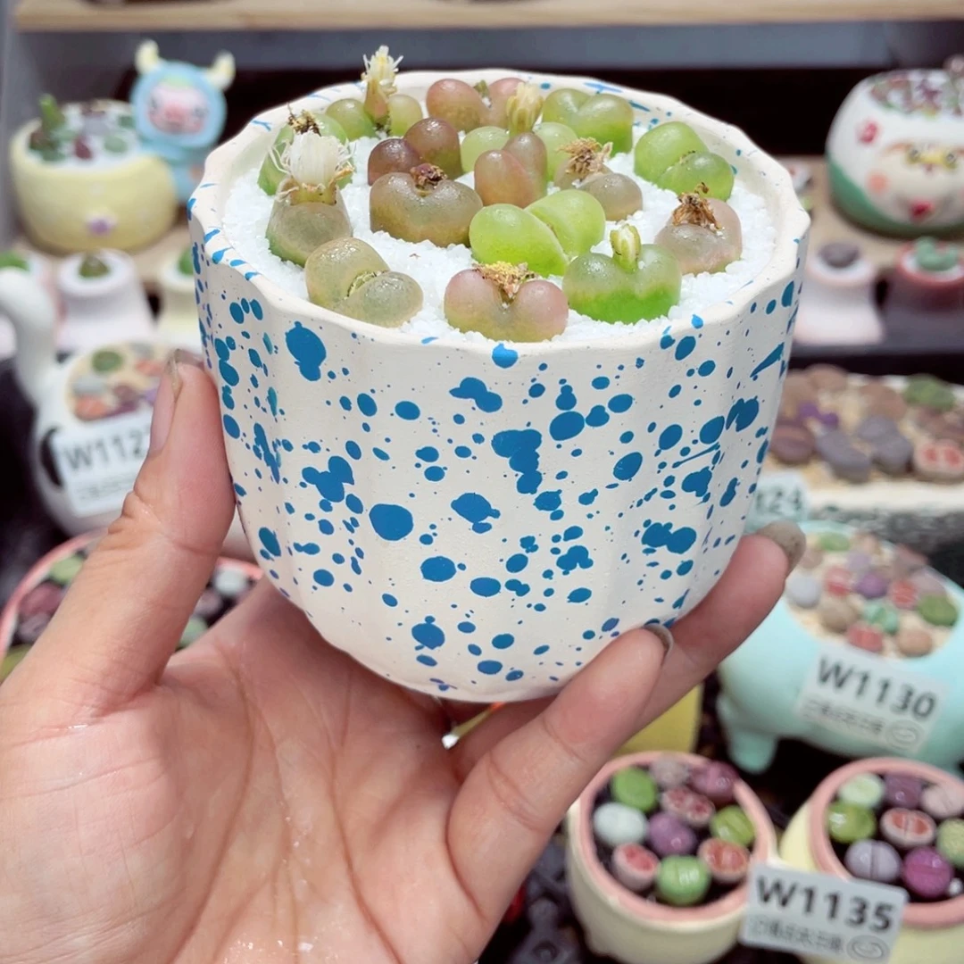 w1138 零下地区拍保温箱