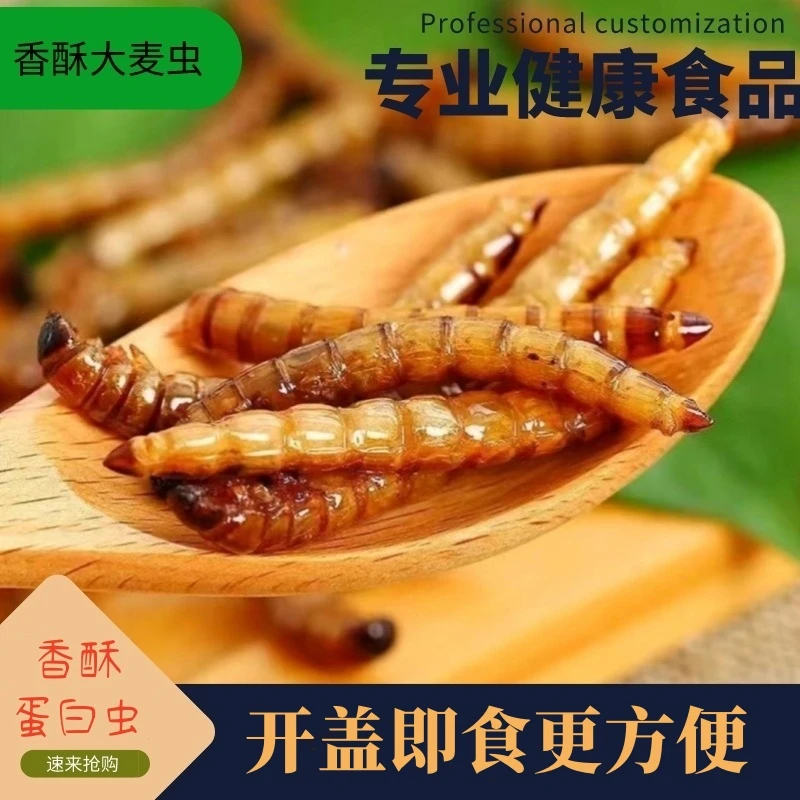 香酥大麦虫油炸虫子高蛋白营养丰富下酒聚会零食特产虫子美食