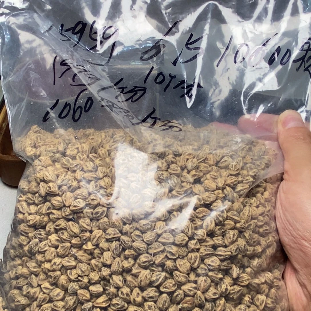 柏香籽/百香籽吊坠