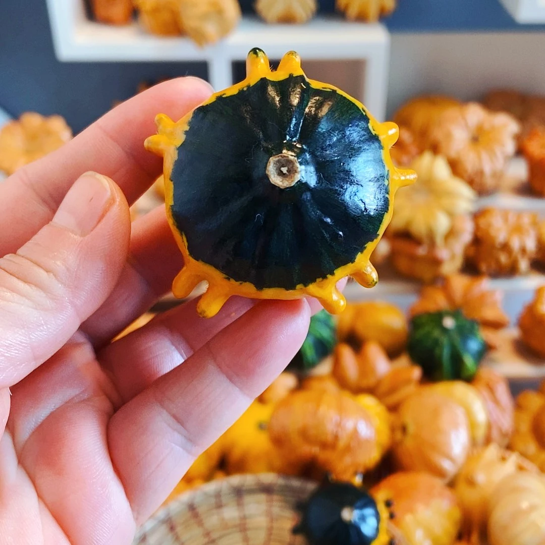 墨西哥青皮葫芦无售后