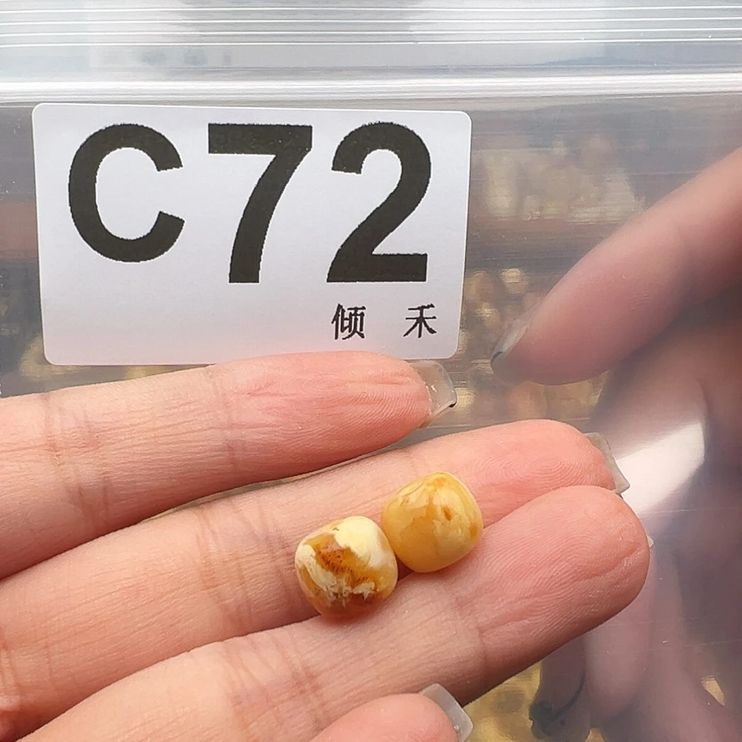 未镶嵌琥珀裸石9尺寸