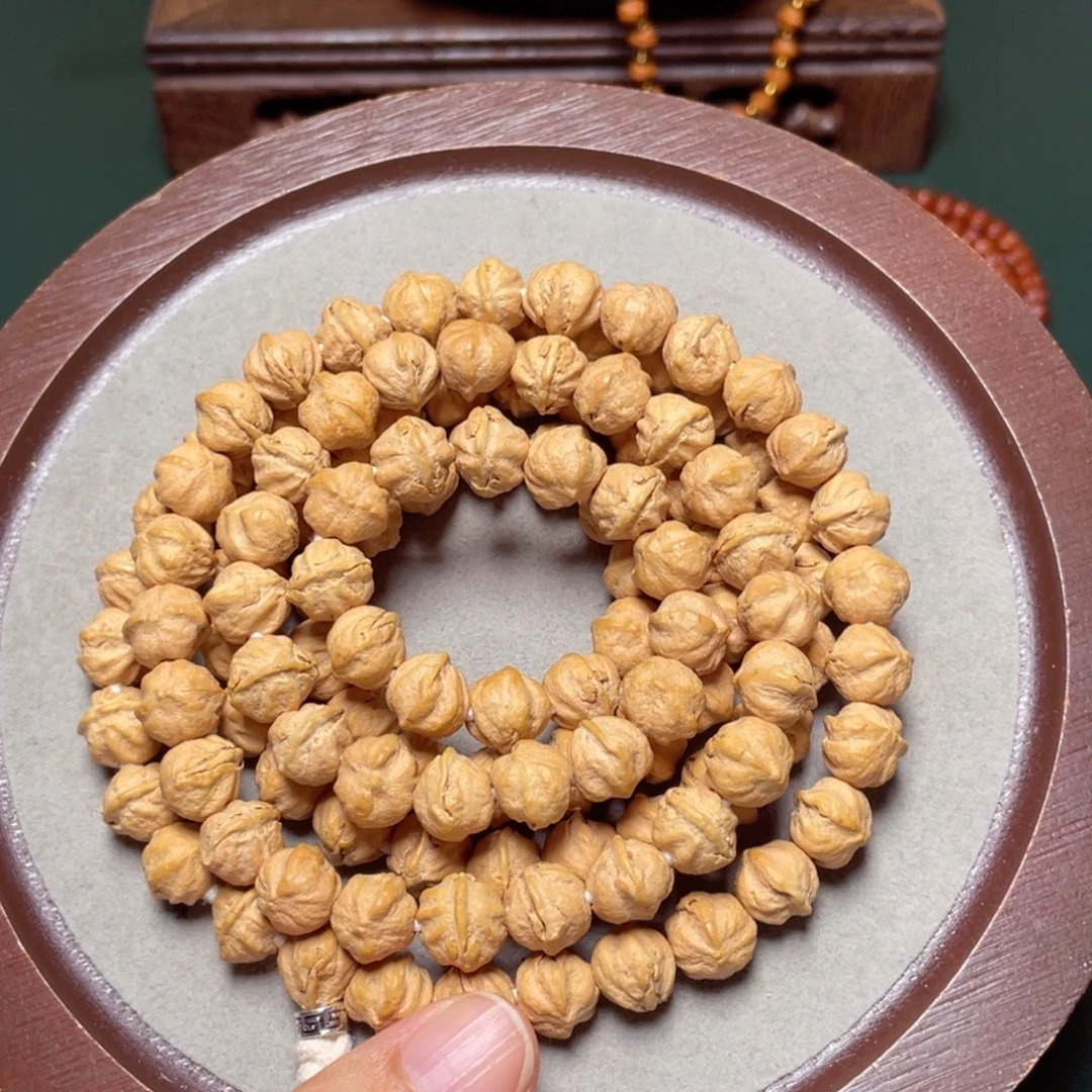吊坠柏香籽/百香籽白芽横打长串孤品