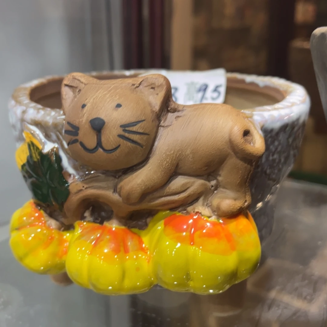 满20飞花盆爱退款拉黑