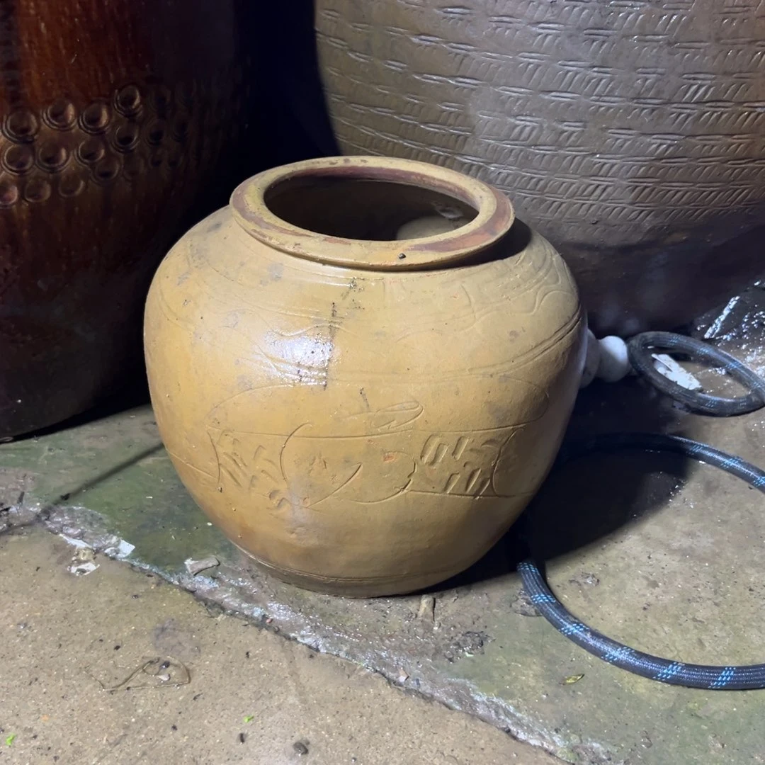 顺***华种花一物一拍包邮