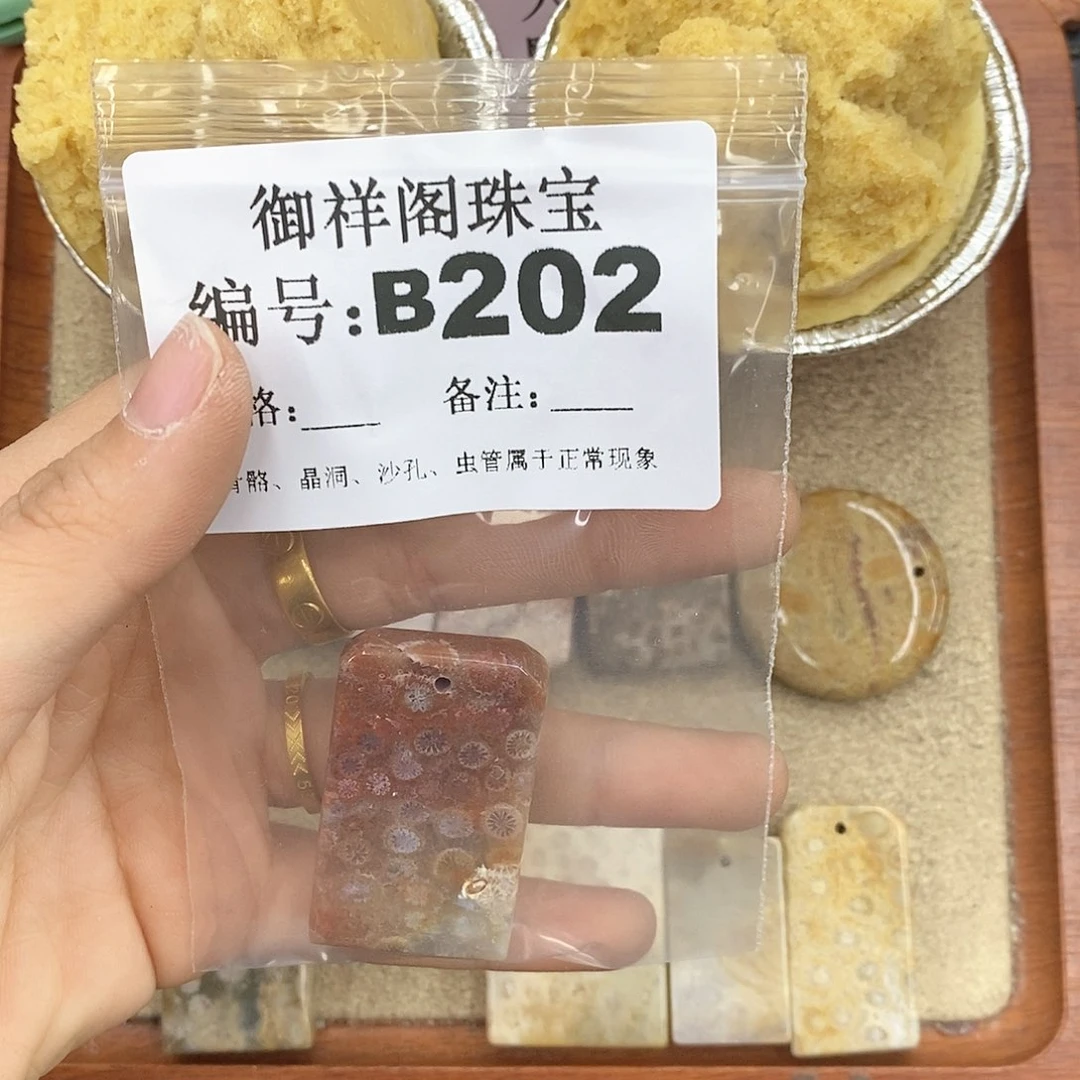 硅化珊瑚（珊瑚玉）颈饰未镶嵌泡**