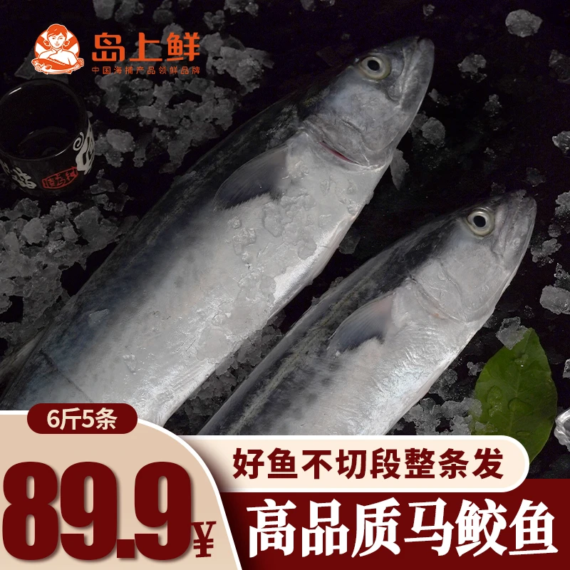【到手6斤】整条马鲛鱼 深海捕捞马胶鲅鱼东海马鲛鱼新鲜冷冻