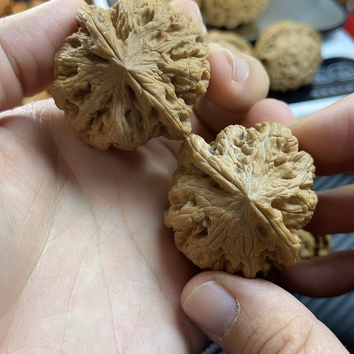 文玩核桃把件45全品大粗筋