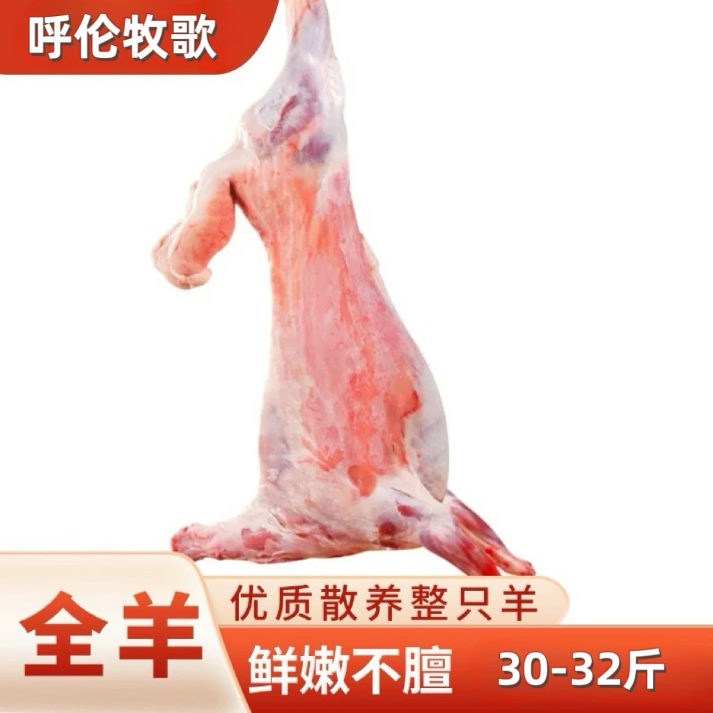 整羊【清真草饲】30斤-32斤 整扇50%腿排（黑哥专属）