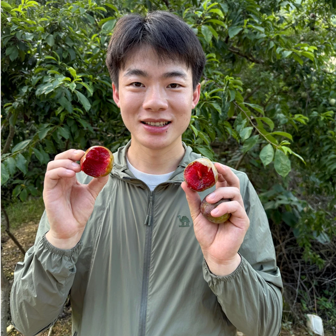 广东韶关翁源三华村三华李正宗新鲜清甜爽口七八分甜皮酸京东发货