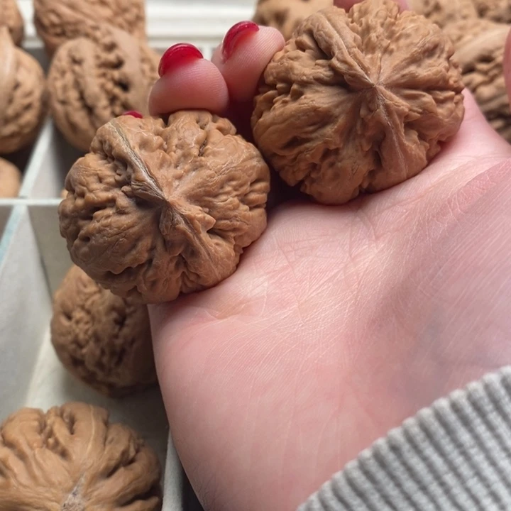 饼***吸霸王龙全品无修一刀没动