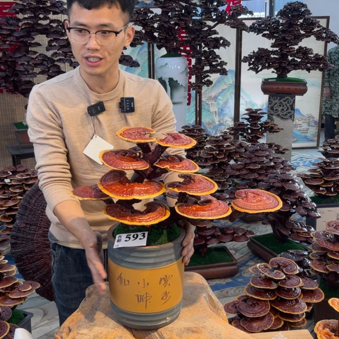 【闪购商品】58888