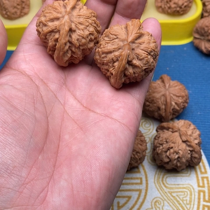 核桃手串/手链大*胖鱼鳞纹40