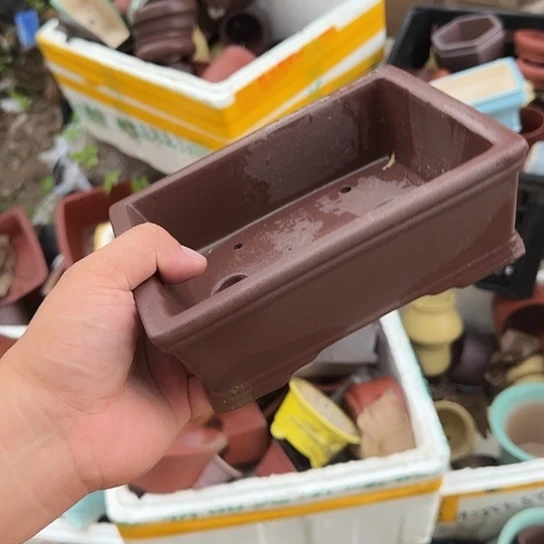 你不说实话的了你知道吧