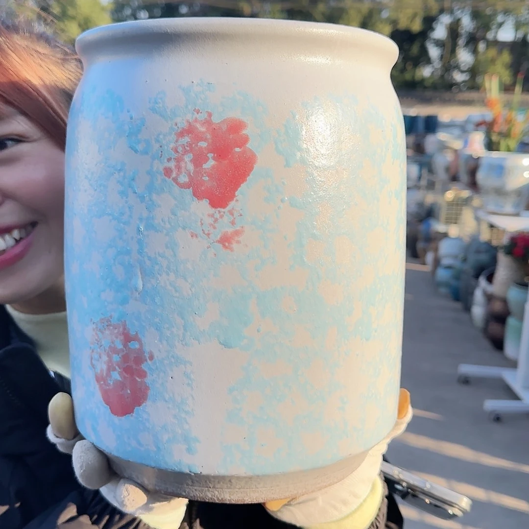 王嫂花盆直播1121-322高28口20