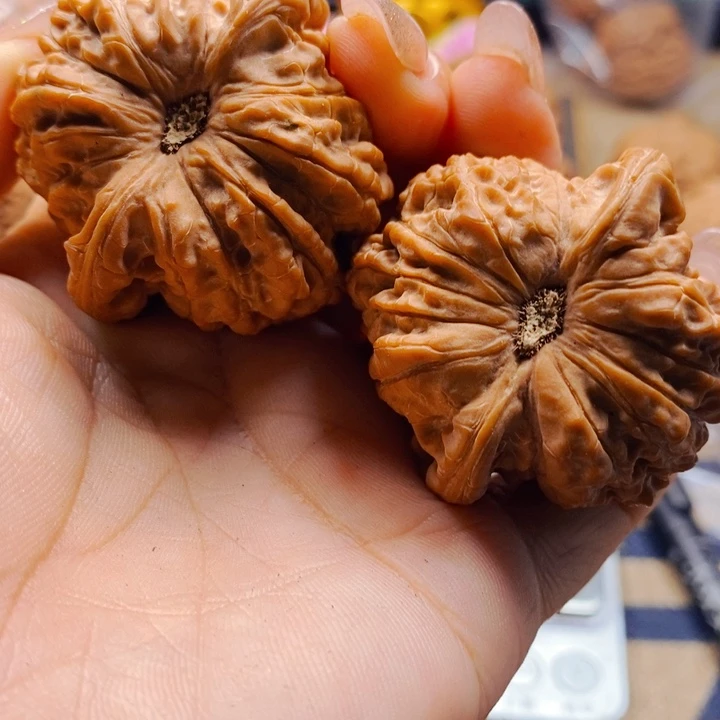 ****长把件文玩核桃血麒麟