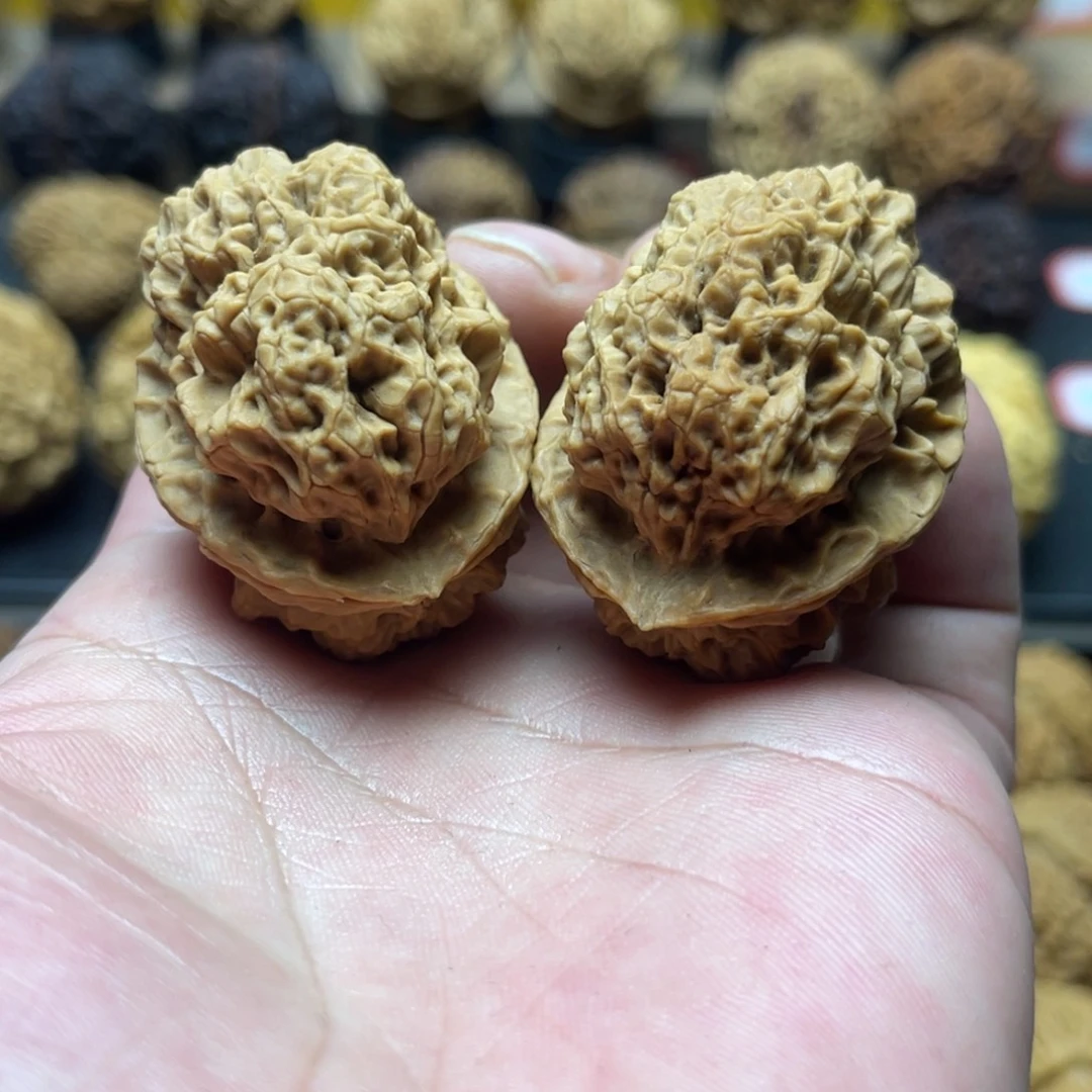 核桃40mm凤山古蟾 一物一图