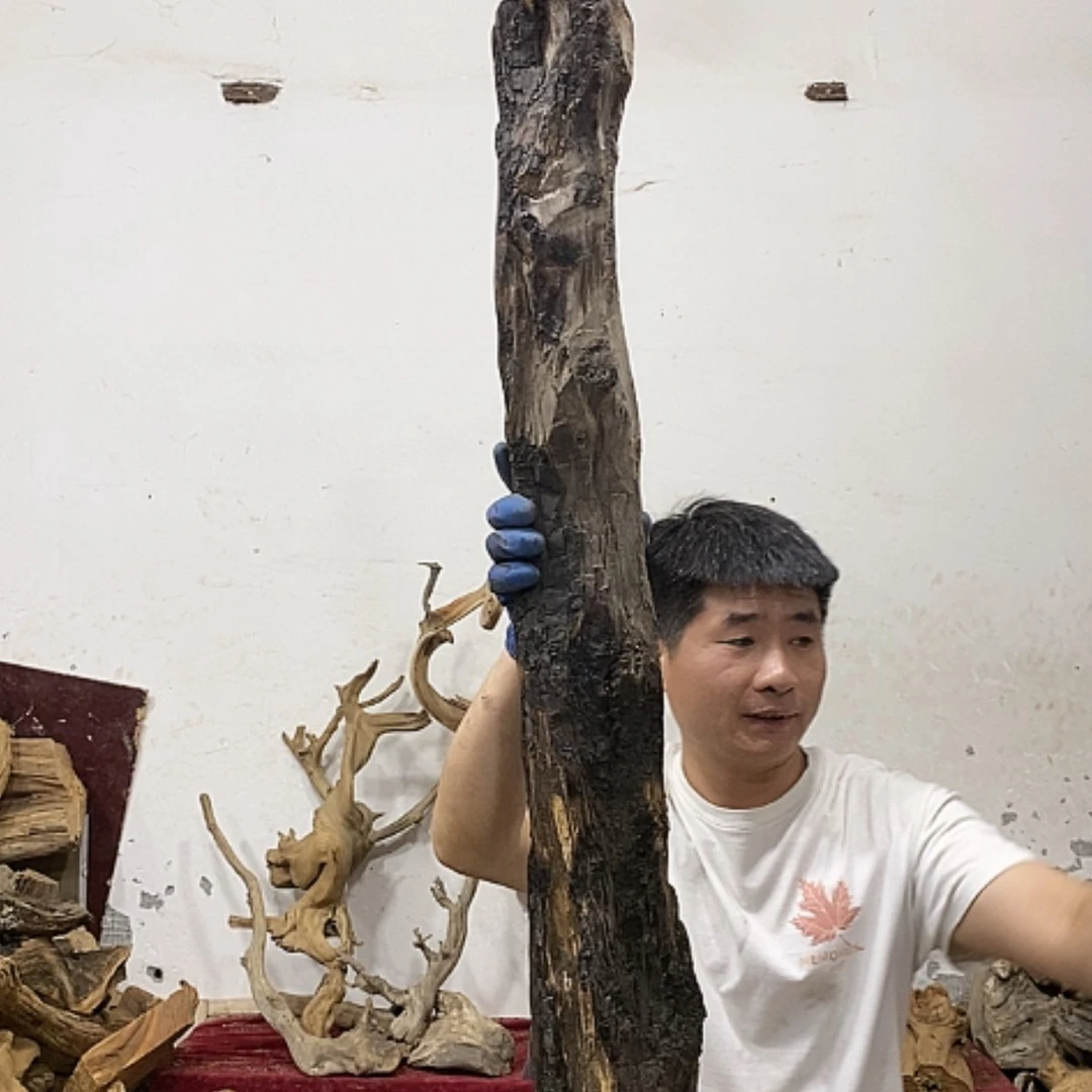 【闪购商品】柏木上****啦我们都是好孩子
