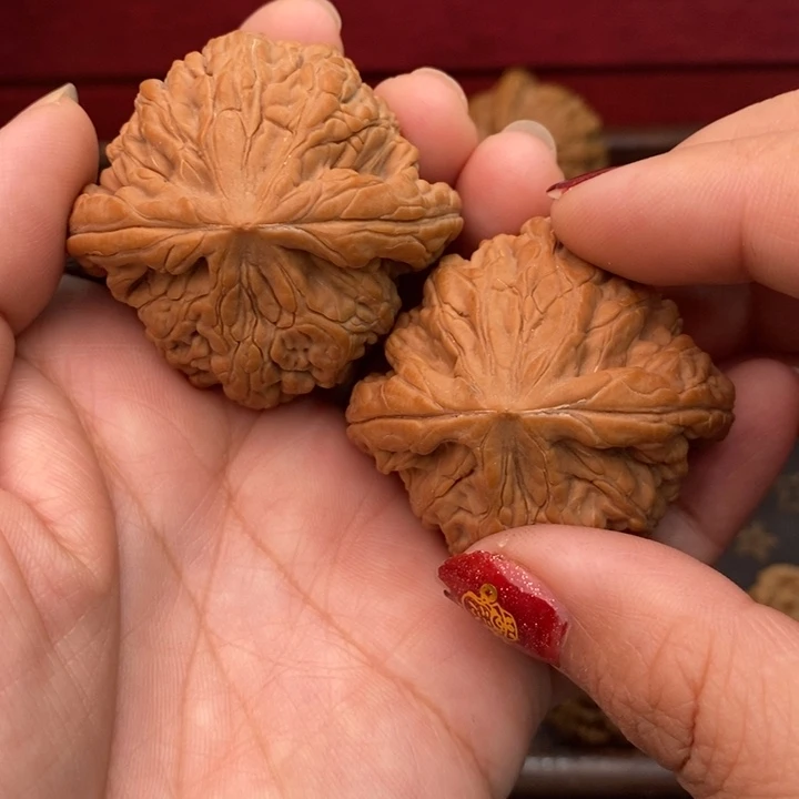 旭***日核桃虎头王47尺核桃