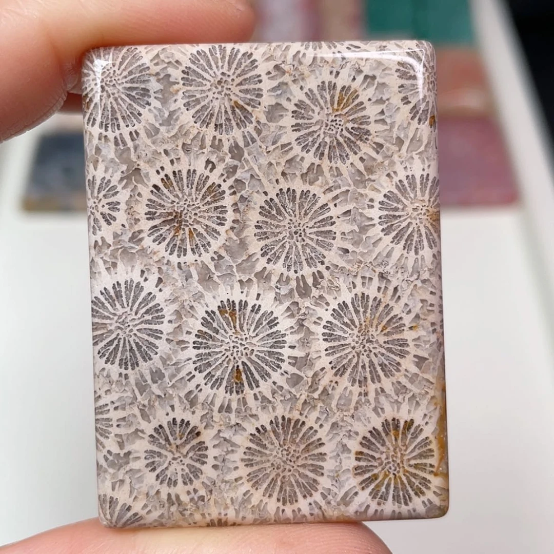 【闪购商品】未镶嵌吊坠(赠链)硅化玉