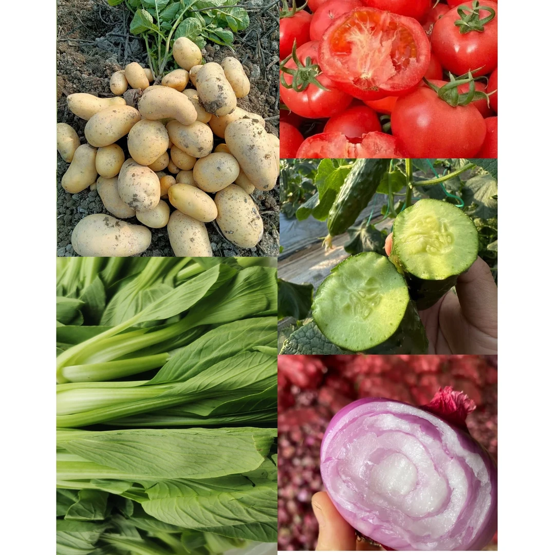 牛粪｜5斤土豆 炒菜西红柿 洋葱 油菜黄瓜