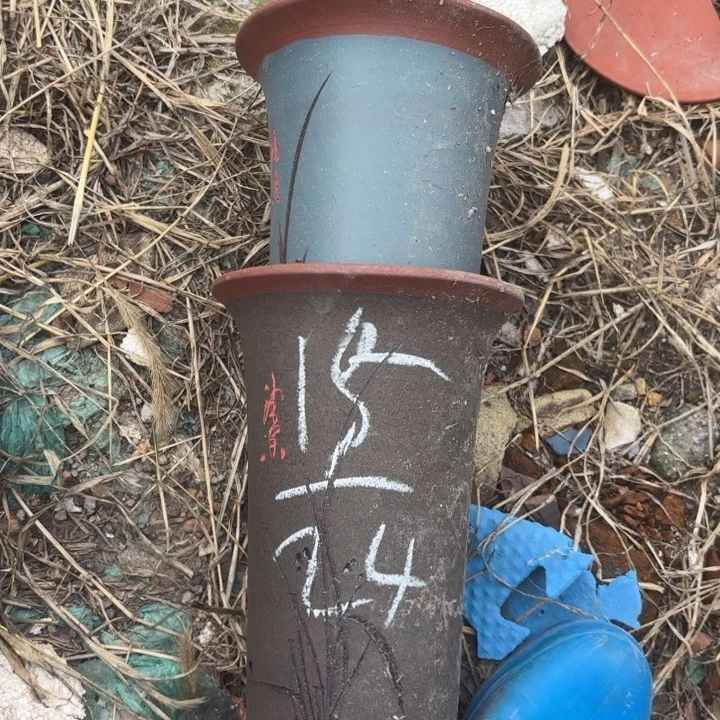 紫砂花盆紫砂的花