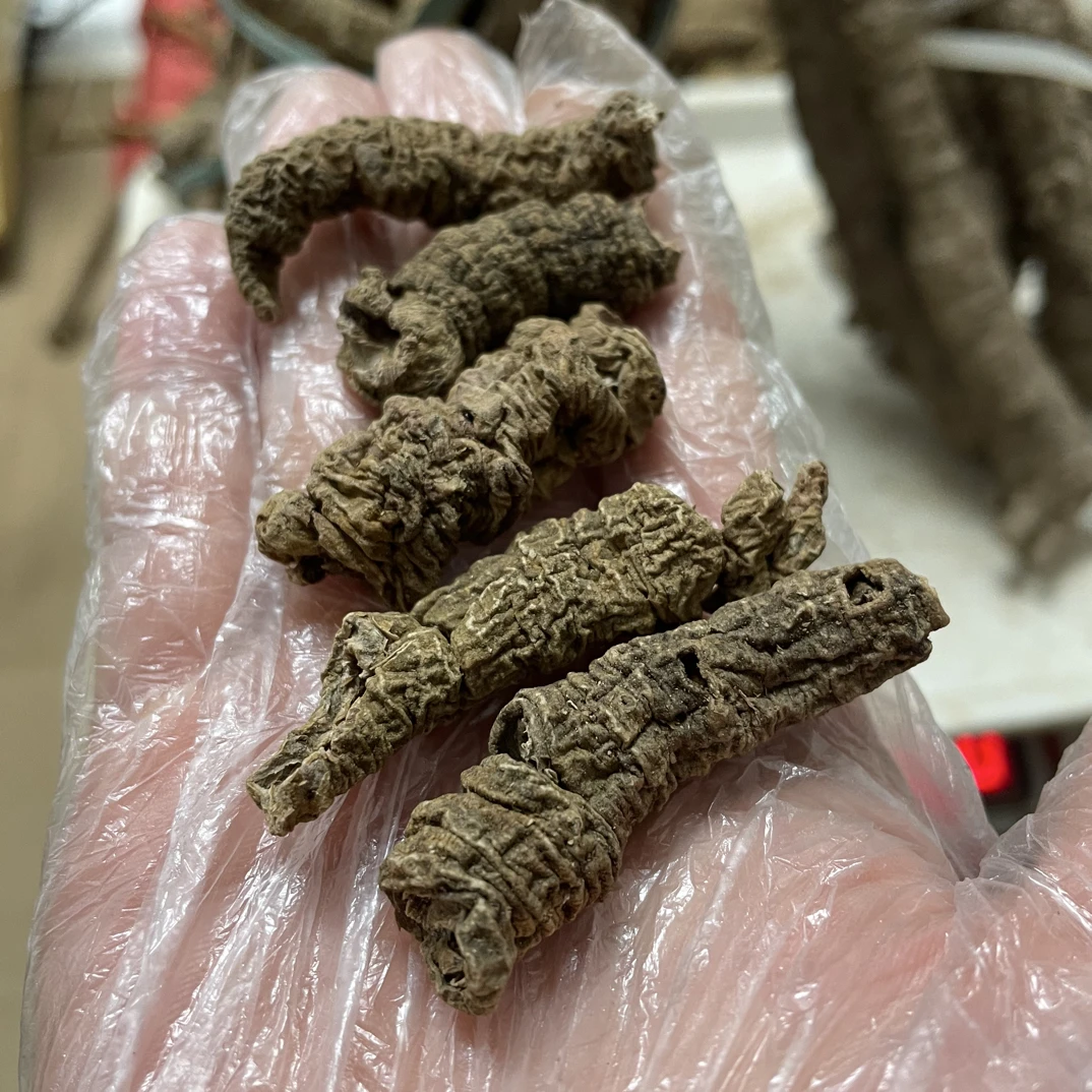 巴戟三蒸晒鸡肠薯紫薯抽芯晒干农家山货