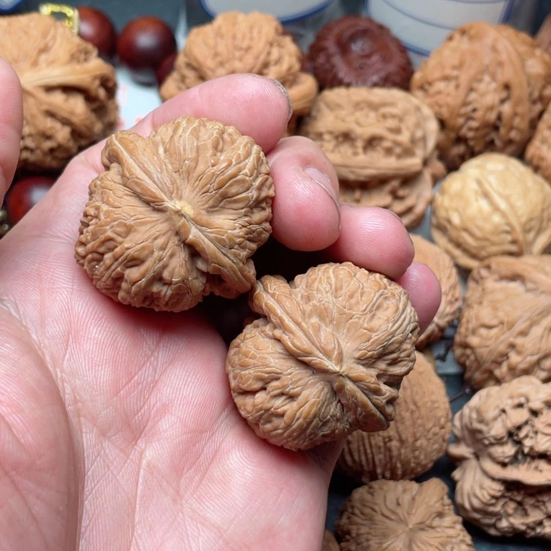 文玩核桃把件梁****?元宝