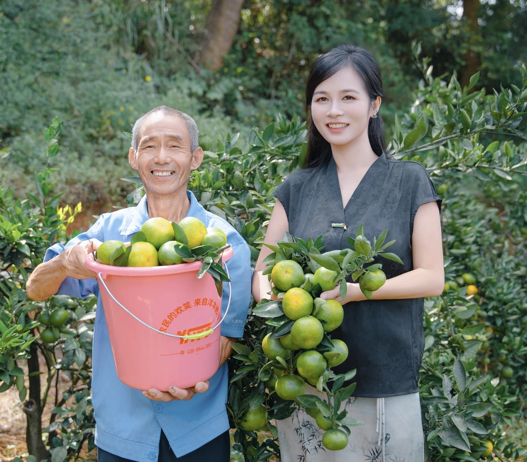 正宗邵阳隆回青皮蜜桔多汁应季柑橘新鲜无籽孕妇水果酸甜可口