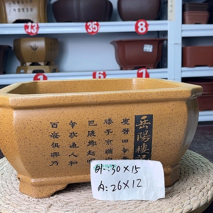 花盆紫砂你在一起