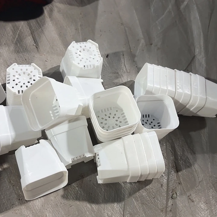 50小白方盆5公分40个
