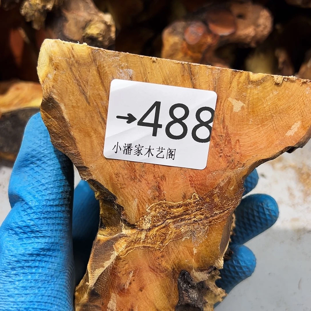 猪***崽火琉璃…。火琉？火琉璃