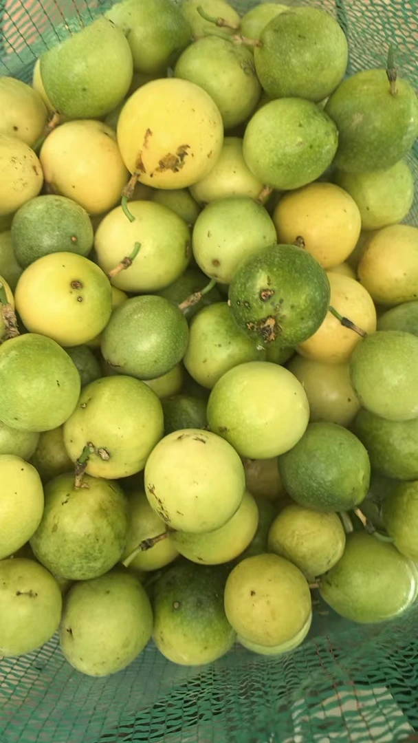 纯天然原生态黄金百香果正宗钦蜜9 号香甜浓郁表皮微瑕疵介意勿拍