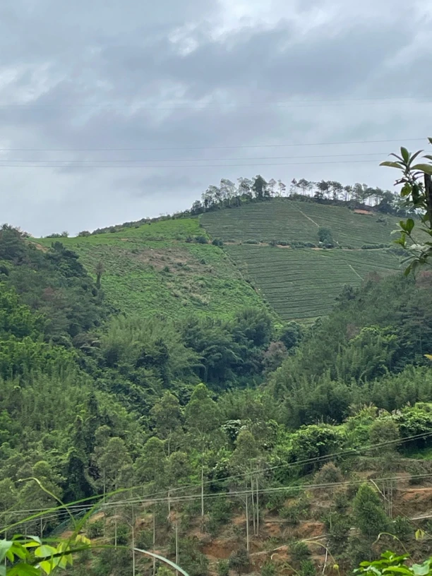 大山深处种植的山货干品