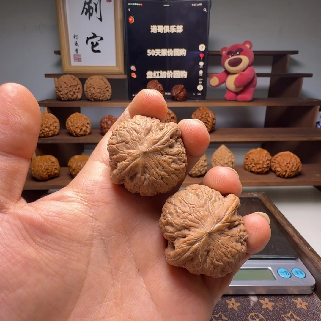 道哥俱乐部t铁锤40