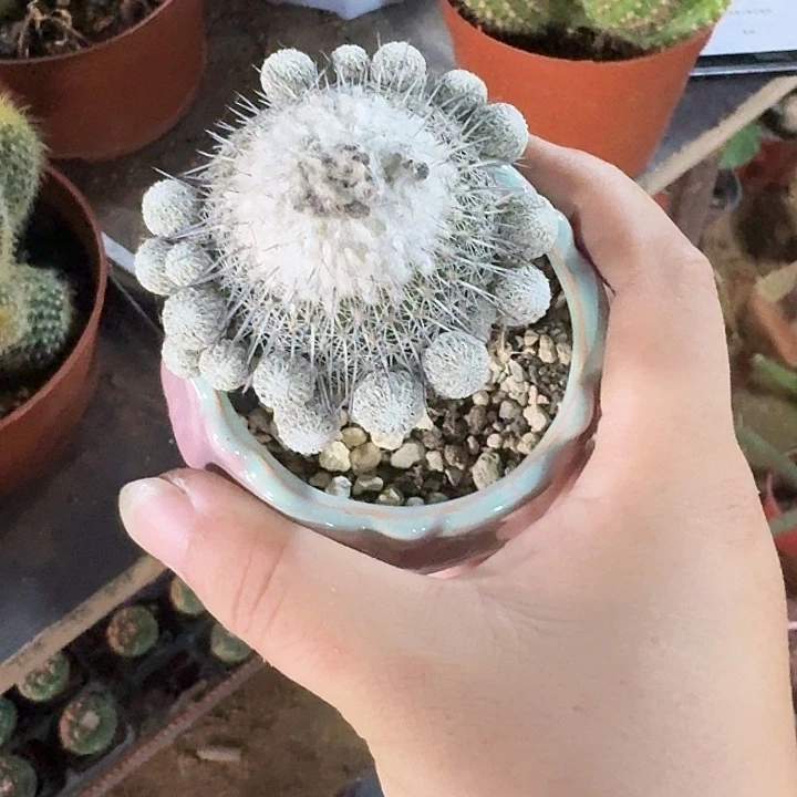 勇***惧哈哈哈哈哈哈哈哈哈哈