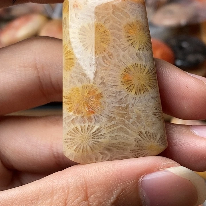 脆***猫硅化玉未镶嵌颈饰