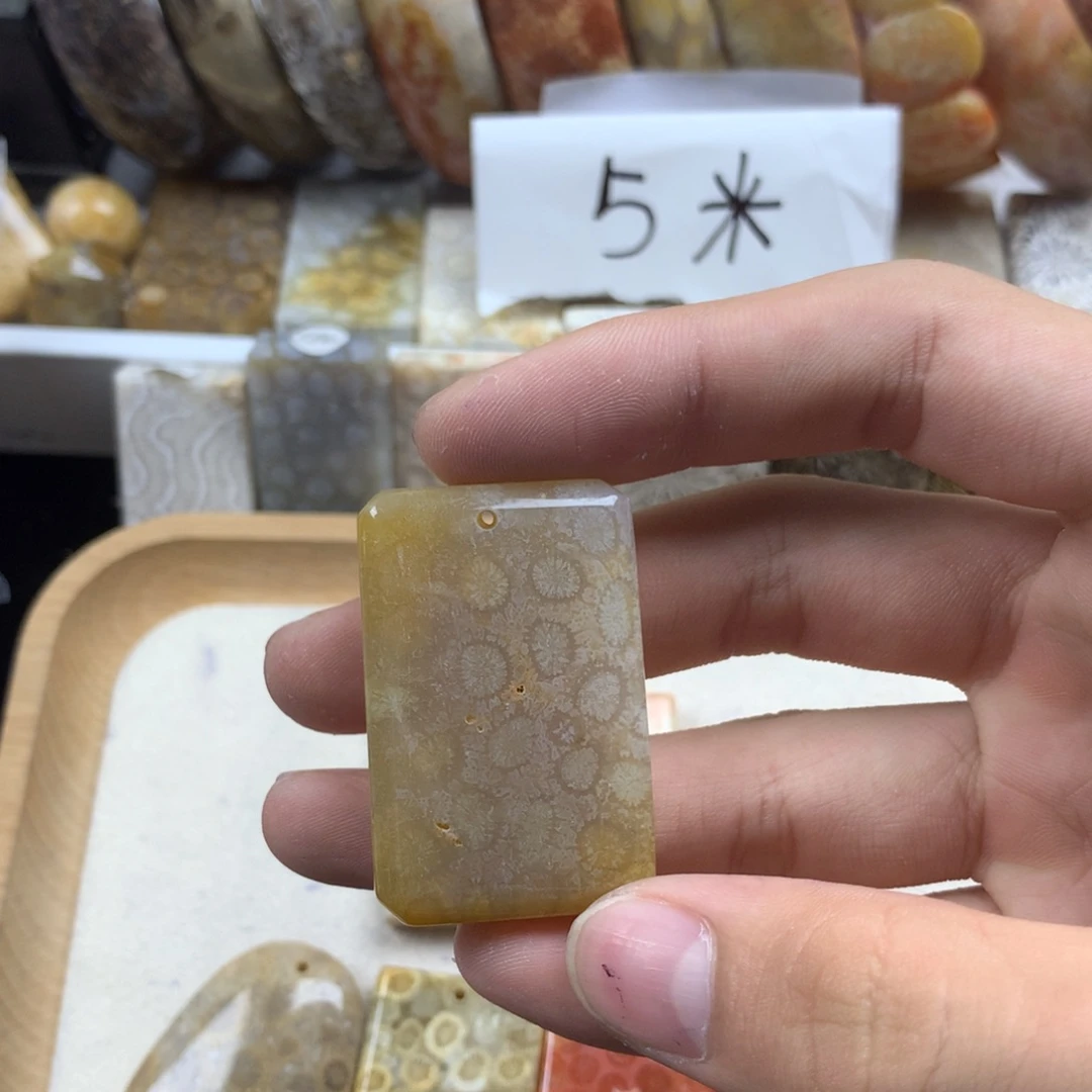 我***了硅化珊瑚(珊瑚玉)未镶嵌颈饰