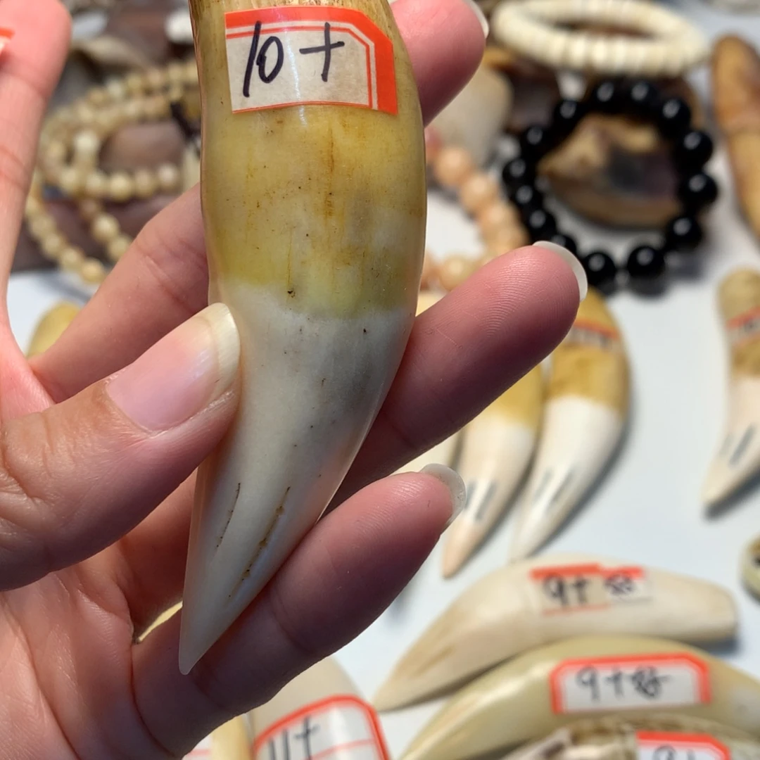 c***g驼骨把件驼骨把件黄色牙牙