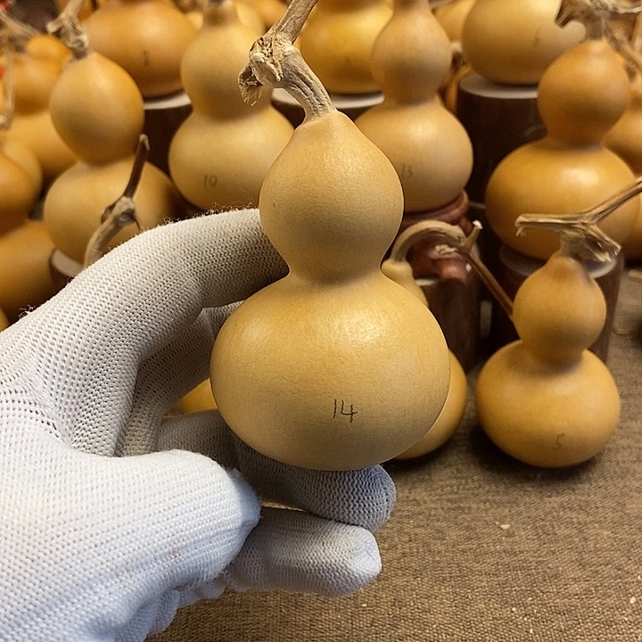 文玩葫芦 完美主义者 慎拍14