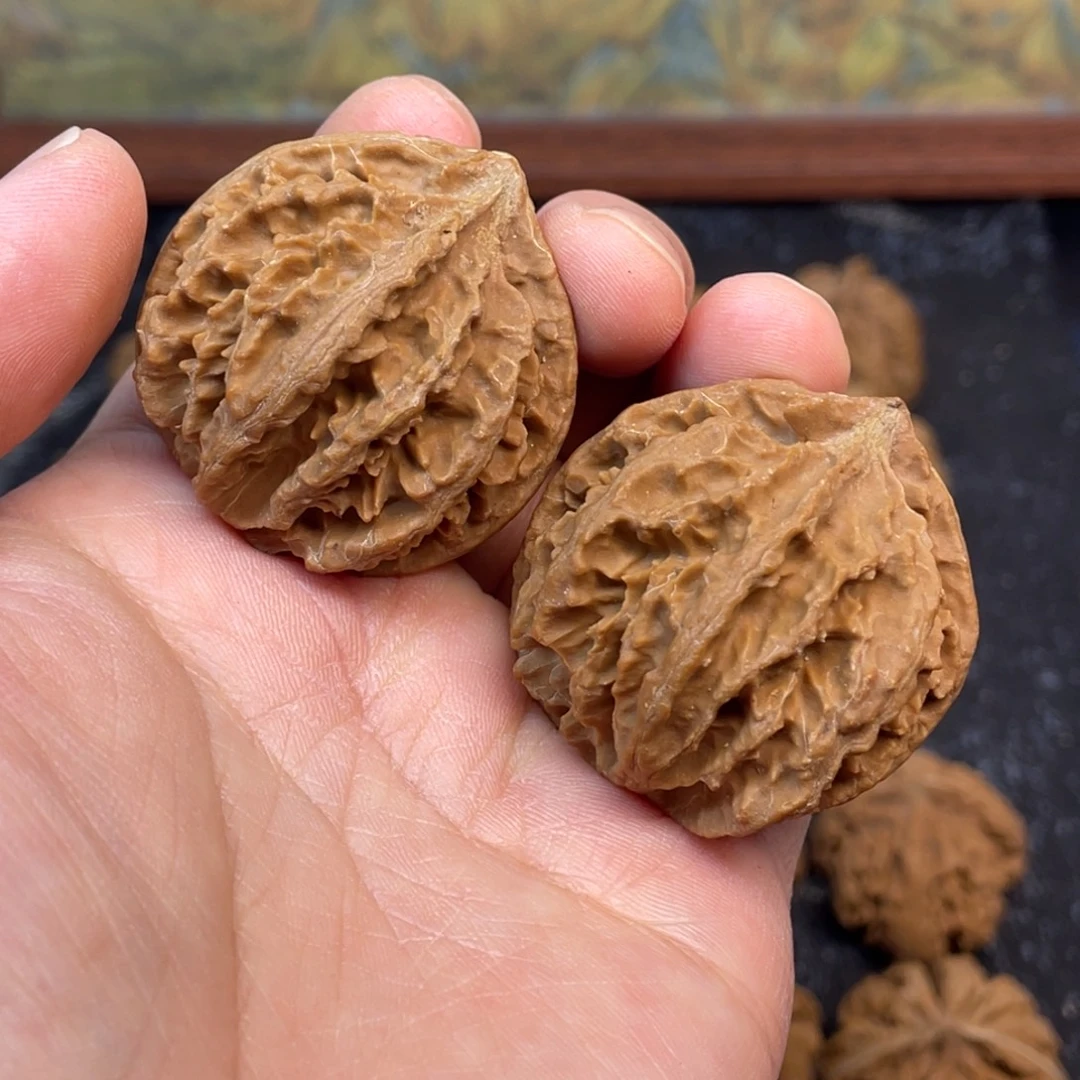 核桃5号链接5555555