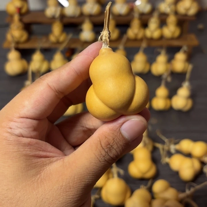 Y***O葫芦葫芦葫芦葫芦